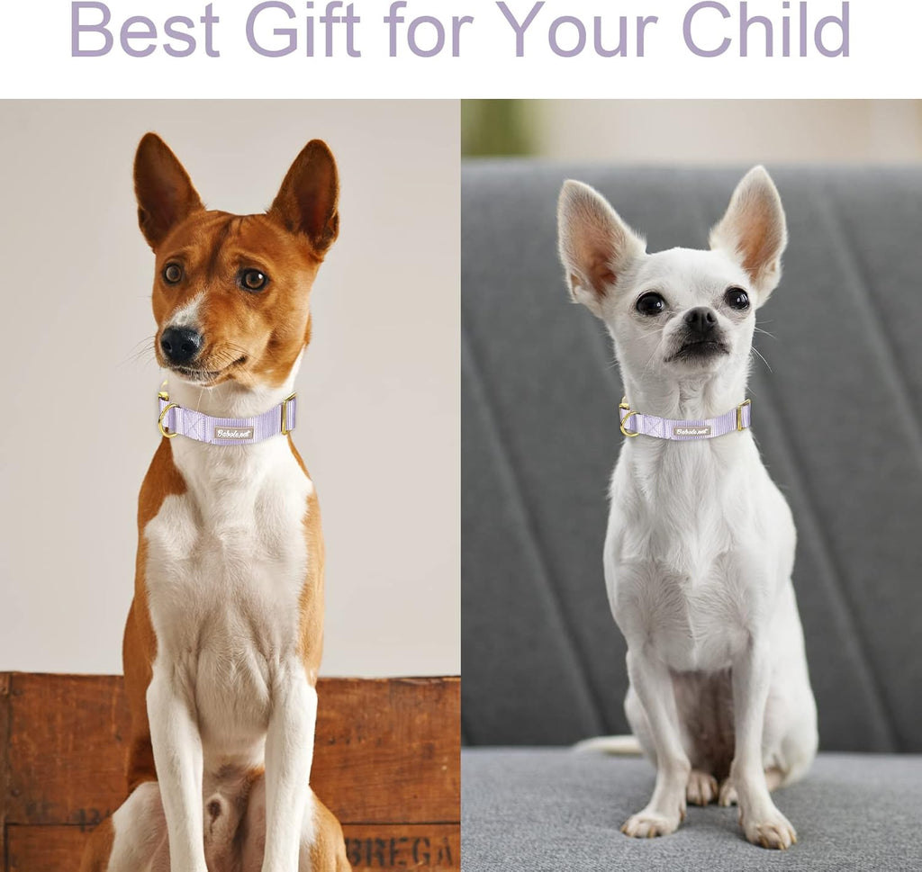 Babole Nylon Dog Collars Lavender for Small Puppy Dog,13 Colors,Adjustable Soft Comfortable Pet Collars with Safety Metal Buckle for Medium Large Boy&Girl&Female Dog(S)